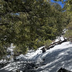 Deer Springs Trail To Suicide Rock - Snowy trail to Suicide Rock