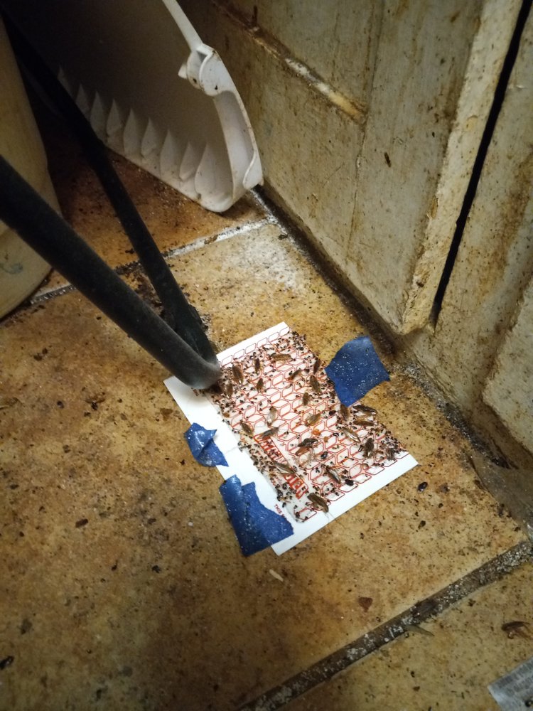 PMI ADVISORY GROUP Updated July 2024 2858 SW Villa West Dr, Topeka