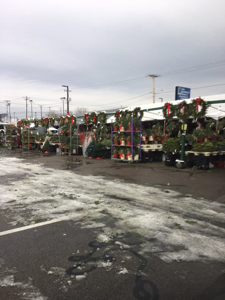 ARTERY GARDEN CENTER 24 Photos & 14 Reviews 625 Southern Artery