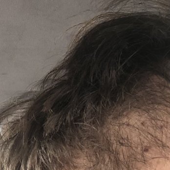 Great Clips - Was cutting under hair after sheared too much - Hair Salons Near Me - London, Kentucky Great Clips - Was cutting under hair after sheared too much - Hair Salons Near Me - London, Kentucky