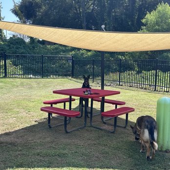 Conecuh Sausage - Dog park - Meat Shops Near Me - Evergreen, Alabama