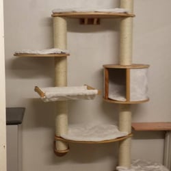 Mon-t-Chat - Il y a de super arbre a chat dans la salle de jeu.. normal que les chats ne veulent plus rentrer a la maison a la fin de leur séjour.