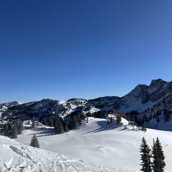 Alta Ski Area - Alta - Ski Resorts Near Me - Alta, Utah