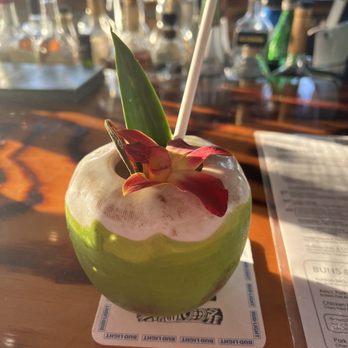 Jungle Bird - Pain killer - Tiki Bars Near Me - Cape Coral, Florida Jungle Bird - Pain killer - Tiki Bars Near Me - Cape Coral, Florida