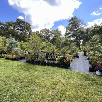 Laly Acres Nursery - ...so many choices! - Nurseries & Gardening Near Me - Ocala, Florida