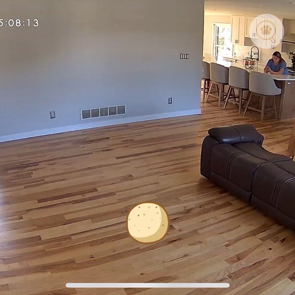 Home Makeover - New wood flooring- hickory - General Contractors Near Me - New Albany, Indiana