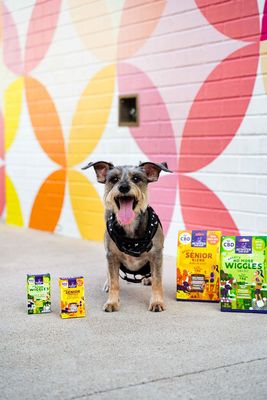 MARYJAE Cannabis Dispensary by null