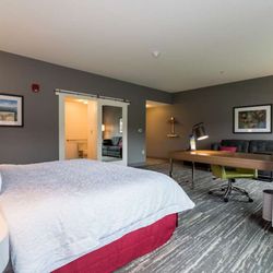 Hampton Inn & Suites Allen Park - Guest room