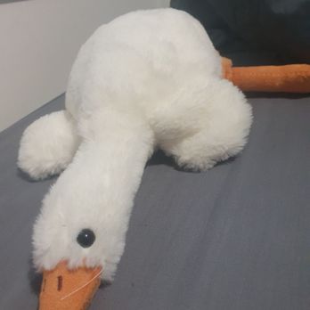 My Nawaab - Ducky - Indian Near Me - Manchester, XGM