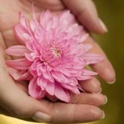 Daisy Spa - Daisy massage spa scarborough