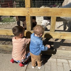 Randall Oaks Zoo