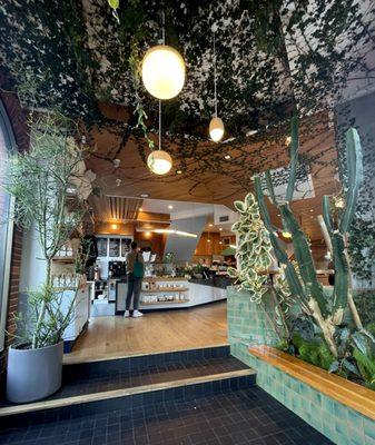 Verve Coffee Roasters by null