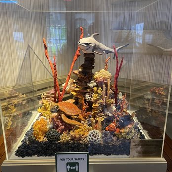 Narcoossee's - White Chocolate Sculpture - New American Near Me - Lake Buena Vista, Florida Narcoossee's - White Chocolate Sculpture - New American Near Me - Lake Buena Vista, Florida