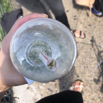 Surf City Squeeze - a person holding a glass of water - Juice Bars & Smoothies Near Me - Philadelphia, Pennsylvania Surf City Squeeze - a person holding a glass of water - Juice Bars & Smoothies Near Me - Philadelphia, Pennsylvania