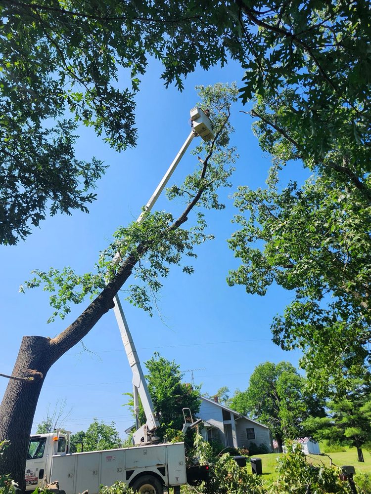 TROY’S TREE SERVICE - Updated March 2026 - Request a Quote - Gallipolis ...
