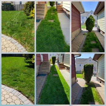 AM Molina - My yard - Landscaping Near Me - Clifton, New Jersey