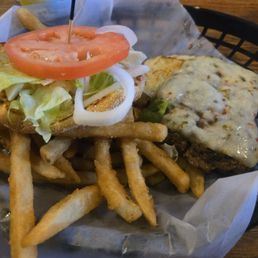 100% Bison Burger