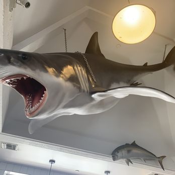 Bear Flag Fish - Seafood Near Me - Newport Beach, California