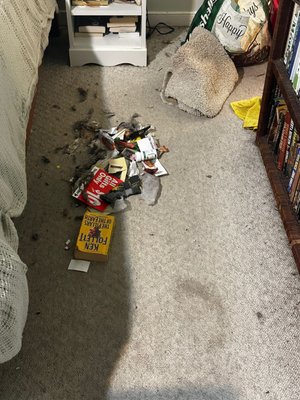 DOMINION CLEANING SERVICES - Updated January 2025 - 34 Photos - 7921A W