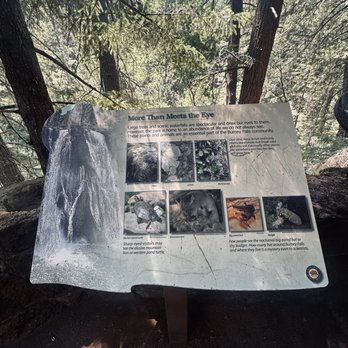 McArthur Burney Falls State Park - follow da trail - Hiking Near Me - Burney, California McArthur Burney Falls State Park - follow da trail - Hiking Near Me - Burney, California