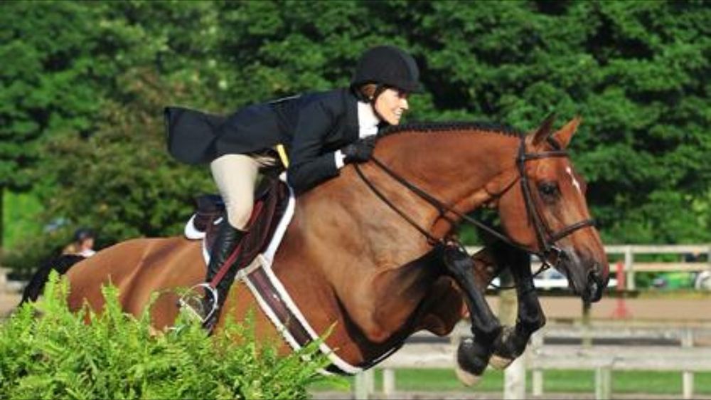 HUNTERS COURT STABLE - equestrian in Mount Pleasant, TN