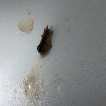 Roma's Pizza - spaghetti was cold and this was found in my diet coke - Pizza Near Me - Kalamazoo, Michigan Roma's Pizza - spaghetti was cold and this was found in my diet coke - Pizza Near Me - Kalamazoo, Michigan