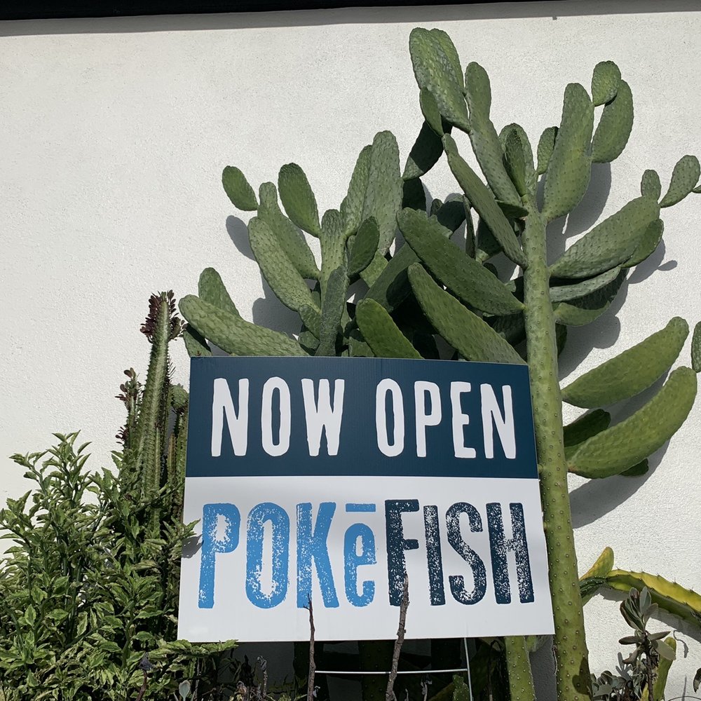 Poké Fish - Nice Cacti by Parking lot, Poke Fish, off Kennedy & Westshore, South Tampa - Poke Near Me - Tampa, Florida Poké Fish - Nice Cacti by Parking lot, Poke Fish, off Kennedy & Westshore, South Tampa - Poke Near Me - Tampa, Florida