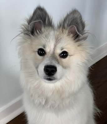 Peaks Digital Marketing | Denver SEO by null