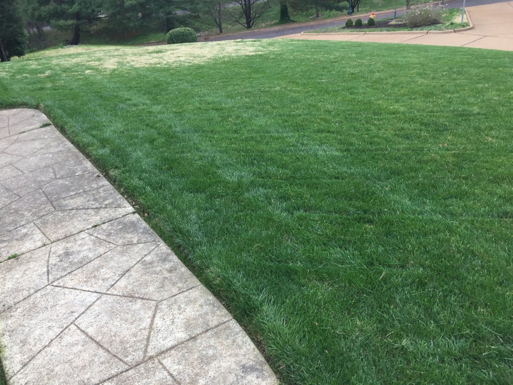 THE LAWN GUY Updated April 2024 St. Louis, Missouri Lawn Services
