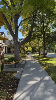 little on mountain by null