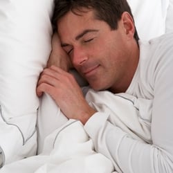 Bedding Hotline