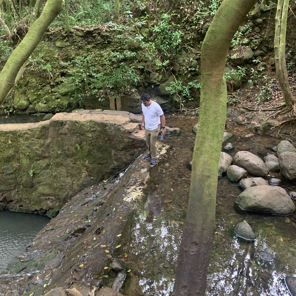 Lulumahu Falls - Hiking Near Me - Honolulu, Hawaii Lulumahu Falls - Hiking Near Me - Honolulu, Hawaii
