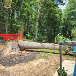 Tri-County Tree Service