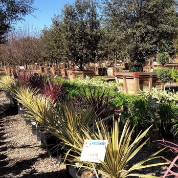 Moon Valley Nurseries - Nurseries & Gardening Near Me - Murrieta, California Moon Valley Nurseries - Nurseries & Gardening Near Me - Murrieta, California