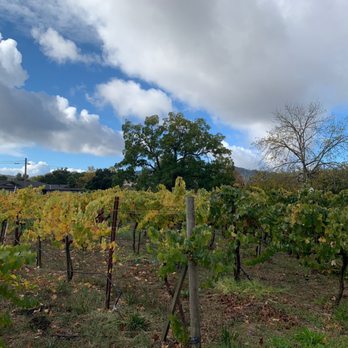 La Rochelle Winery - rows of vines in a vineyard - Wineries Near Me - Kenwood, California La Rochelle Winery - rows of vines in a vineyard - Wineries Near Me - Kenwood, California