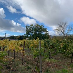 La Rochelle Winery