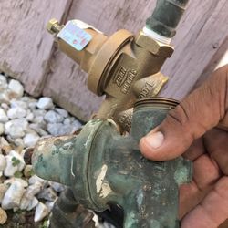 Miranda’s Attentive Rooter Service