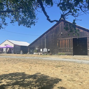 B & B Family Farm - Barn - Walking Tours Near Me - Sequim, Washington