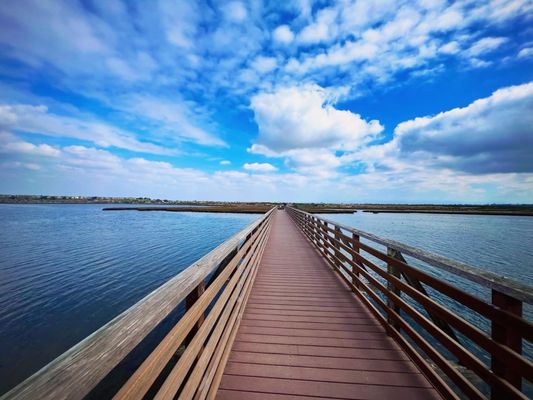 Bolsa Chica Ecological Reserve by null