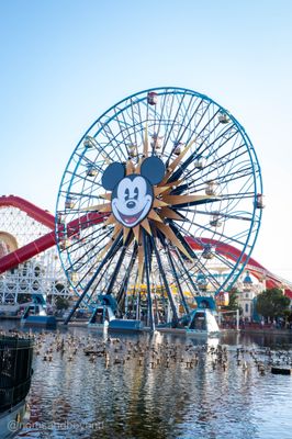 Pixar Pier by null