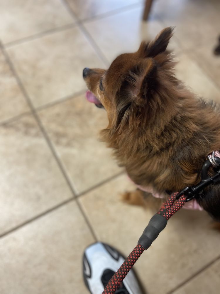 STOCKBRIDGE VETERINARY HOSPITAL Updated October 2024 44 Reviews