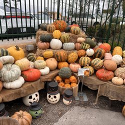 Armstrong Garden Centers