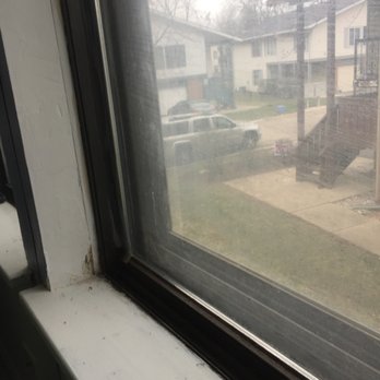 VIP Home Inspections - Moisture Intrusion! - Home Inspectors Near Me VIP Home Inspections - Moisture Intrusion! - Home Inspectors Near Me
