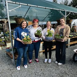 Westwood Gardens Nursery and Garden Art - Build your own basket workshop