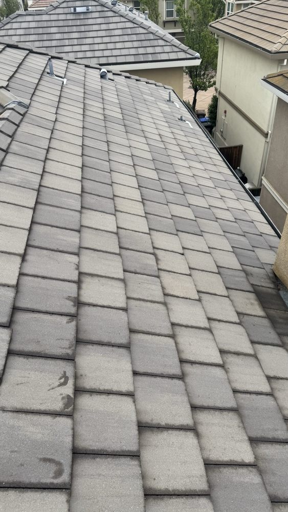 Slide of Golden Bay Softwash