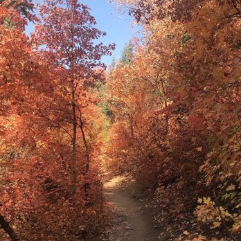 Mueller Park Trail - Hiking Near Me - Bountiful, Utah