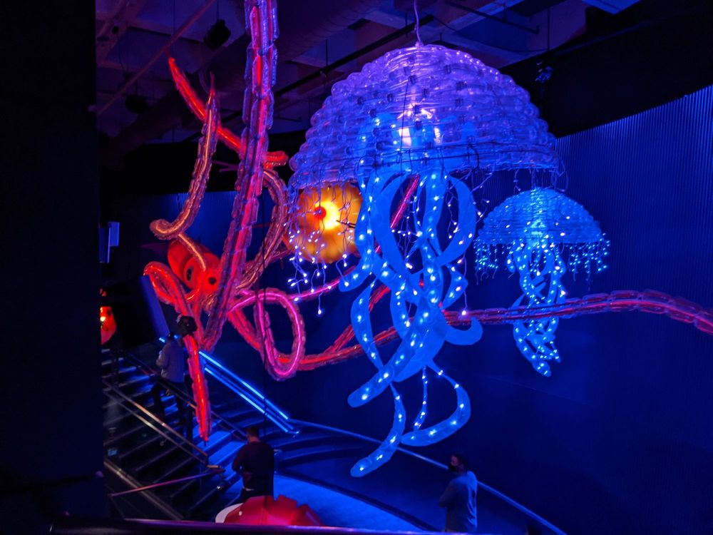 SOUTH CAROLINA AQUARIUM 1281 Photos & 329 Reviews Aquariums 100