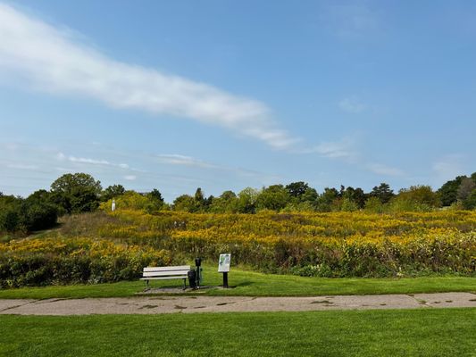 LESLIE PARK GOLF COURSE Updated September 2025 16 Photos 28