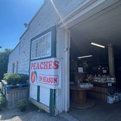 Steere Orchard - Peach festival 2026