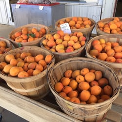 Nielson's Fruit & Produce